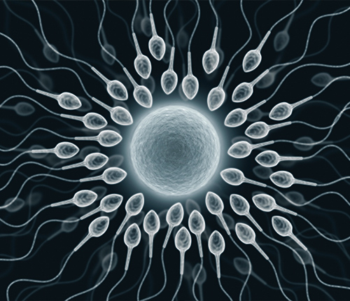 male infertility